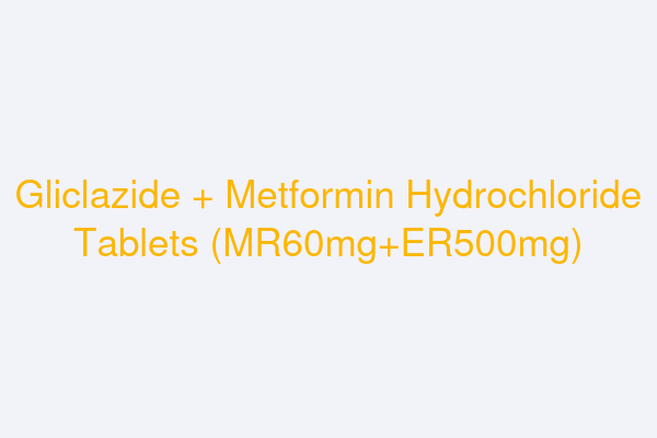 Gliclazide + Metformin Hydrochloride Tablets (MR60mg+ER500mg)