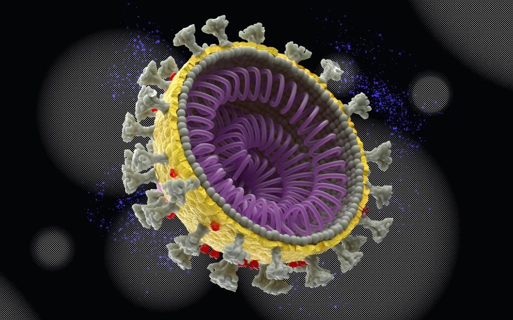 All the Coronavirus Terminology You Need to Know